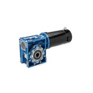 DC Worm Gear Motor
