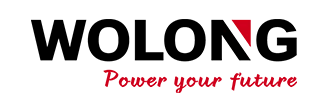 https://greensky-power.com/wp-content/uploads/2022/11/Wolong-Electric-Group-logo.png.webp