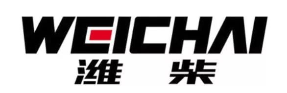 motor manufacturer Weichai Holding Group Co., Ltd.