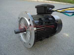 How much weight can a DC Motor carry