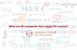 What are 30 companies that supply DC motors