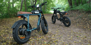 German Market E bike Industry Analysis