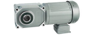 What is a general purpose motor