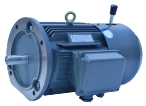 What is rare earth permanent magnet motor