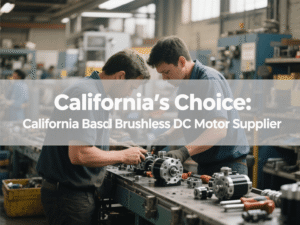 California's Choice California Based Brushless DC Motor Supplier文章特色图片
