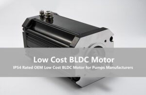 Bulk Pricing on IP54 Rated OEM Low Cost BLDC Motor for Pumps Manufacturers
