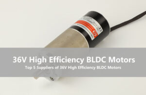 Top 5 Suppliers of 36V High Efficiency BLDC Motors Ranked by Peak & Average Efficiency