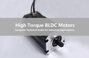 High Torque BLDC Motors-Complete Technical Guide for Industrial Applications-790