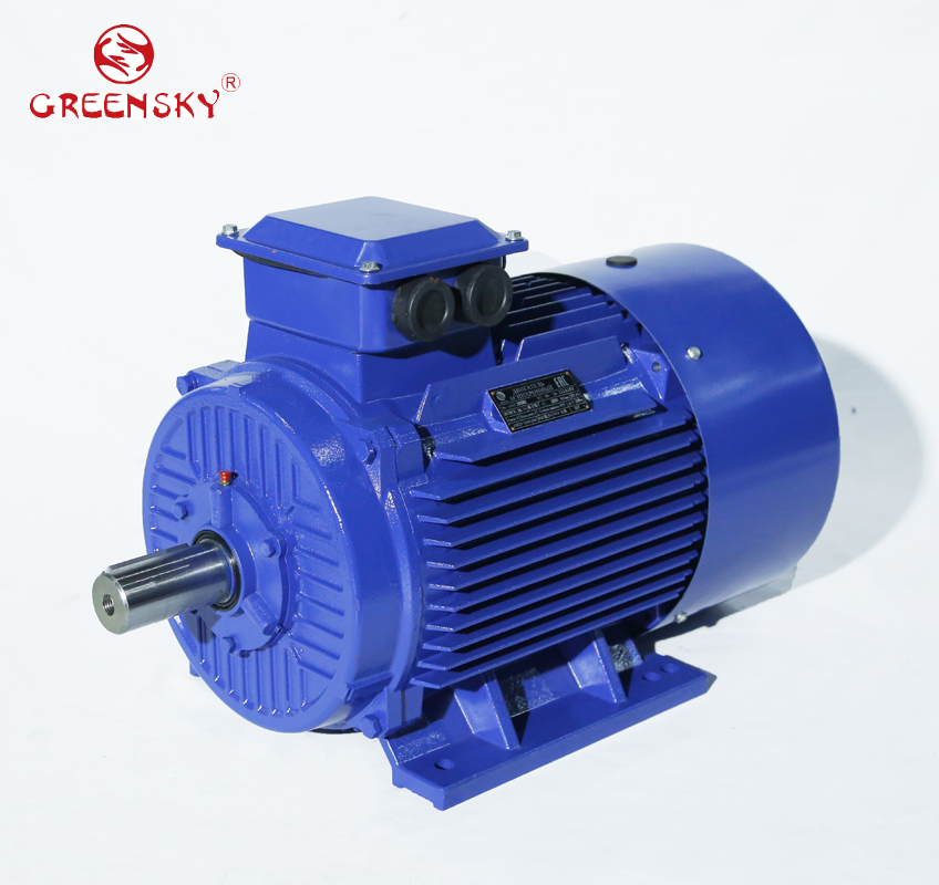GSAPM series permanent magnet synchronous motor, foot-mounted cast iron frame